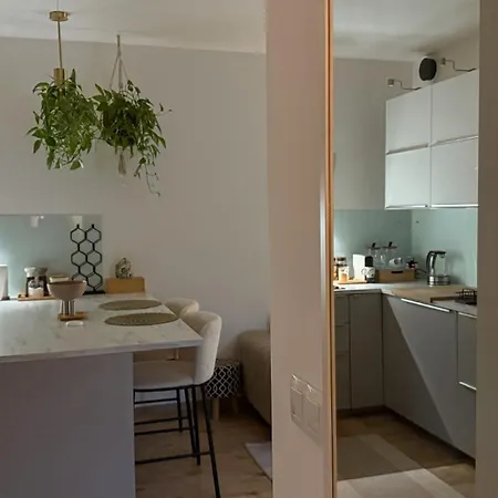 V Meste Apartment *
